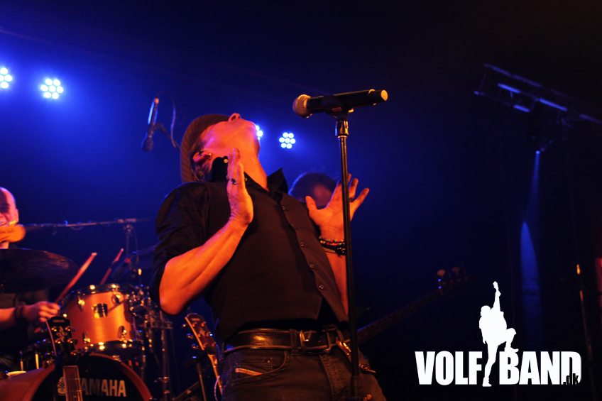 Volf Band VMP